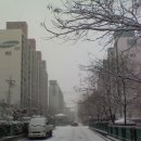 그린24시 편의점 이미지