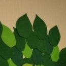 다모아한의원 이미지