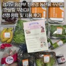 계란한꾸러미 | 경기도 임산부 친환경 농산물 꾸러미(한살림 꾸러미) 선정 완료 및 사용 후기