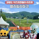 모닝레포츠 | 강원도 횡성 웰리힐리파크 워터플래닛 레포츠 루지 내돈내산 후기