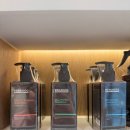 러블리독 | 대전가오동애견미용 러블리독 만족도 높은 후기