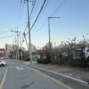 영우목장 | 광명 생고기두루치기 전문점 솔직후기 (허영만의 백반기행..?)