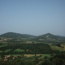 (주)플러스산업 | 삭센다 한달 사용후기 -5kg 다이어트 여정과 비용 분석