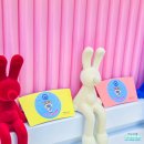 충주중산고등학교 이미지