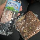 곰배령화원 | [곰배령] 동백여행사 끼고 간 강원도 인제 천상의화원 곰배령 당일치기 후기