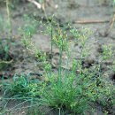 하늘지기 이미지