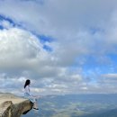 블루마운틴 | 시드니 블루마운틴 투어 예약 내돈내산 후기