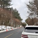 RR-1116[한창로]-상-10 | 제주시내 근처 눈썰매 타기 좋은 곳(요즘 뜨는 곳)