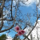 강동-길동-1275 이미지