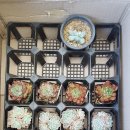 금장농장 이미지