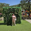 휘바핀란드위드플레이정글 이미지