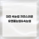 유앤룸 네이버블로그