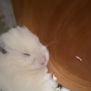 헤어파트너 네이버블로그