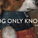 내 강아지 이미지