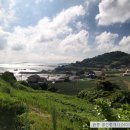 개매기체험장 이미지