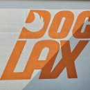 도그렉스 이미지