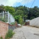 신봉1로248번길 이미지