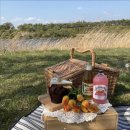 슬로우버드 이미지