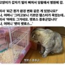 콩고물 이미지
