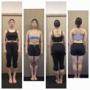 알투에스 휘트니스 이미지