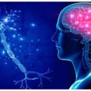 엑스(x)휘트니스 이미지