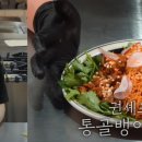 마이야르 이미지