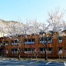 월아산 숲속의 진주 자연휴양림 이미지