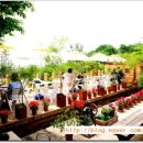 구봉산 가는길 이미지