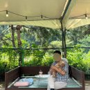 뽀야네 까까 이미지