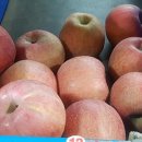 가락3리 이미지