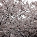 청룡저수지 이미지