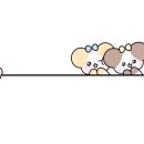 장원막창 네이버블로그