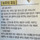 오리샘농원 이미지