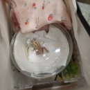 재아농장 이미지