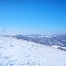 파란하늘목장 이미지