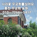 무궁화농원 티스토리