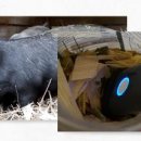 중산축산 이미지