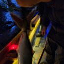 김포실내바다낚시터 이미지