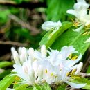 금은농장 이미지