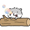 신창정미소 이미지