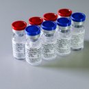 세계 최초로 공식 등록된 러시아 백신 ‘스푸트니크 V’의 3단계 임상시험이 모스크바에서 시작된다. 이미지