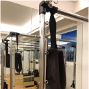 필라테스&요가 이미지