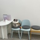 멍실묭실 이미지