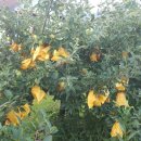 박하농장 이미지