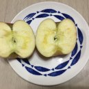 임경혁농장 이미지