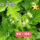 019-1 이미지