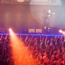 콘서트 bnt뉴스