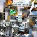 강남-197 이미지