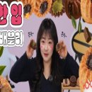브런치부기
