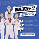 용인대청룡태권도 이미지